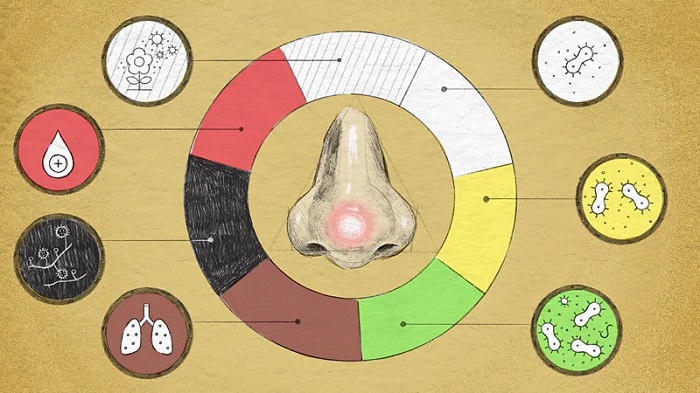 শ্লেষ্মা : মানবদেহের অদৃশ্য রক্ষাকবচ