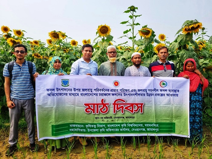 বাকৃবি গবেষকদলের সফলতা : চরাঞ্চলের জমিতে হবে ৩ ফসল
