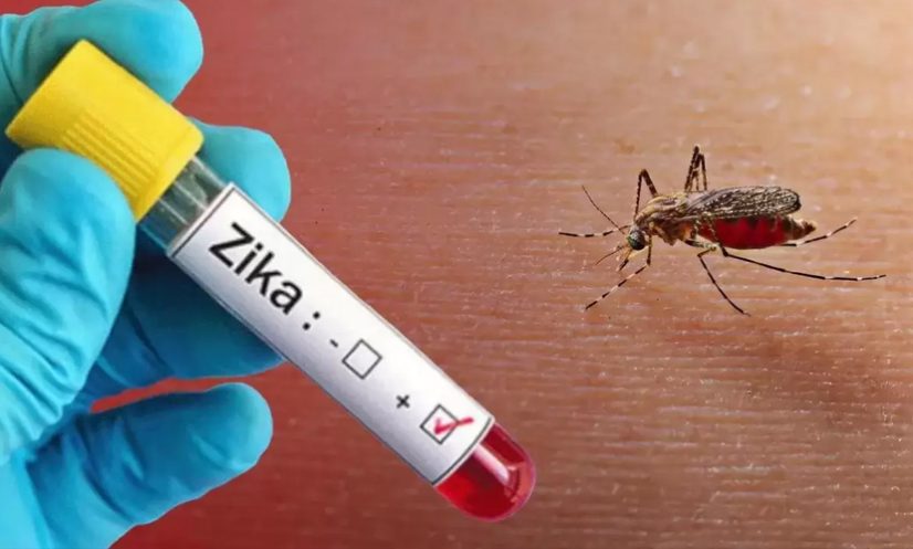 জিকা ভাইরাসে আক্রান্ত হলে করণীয়