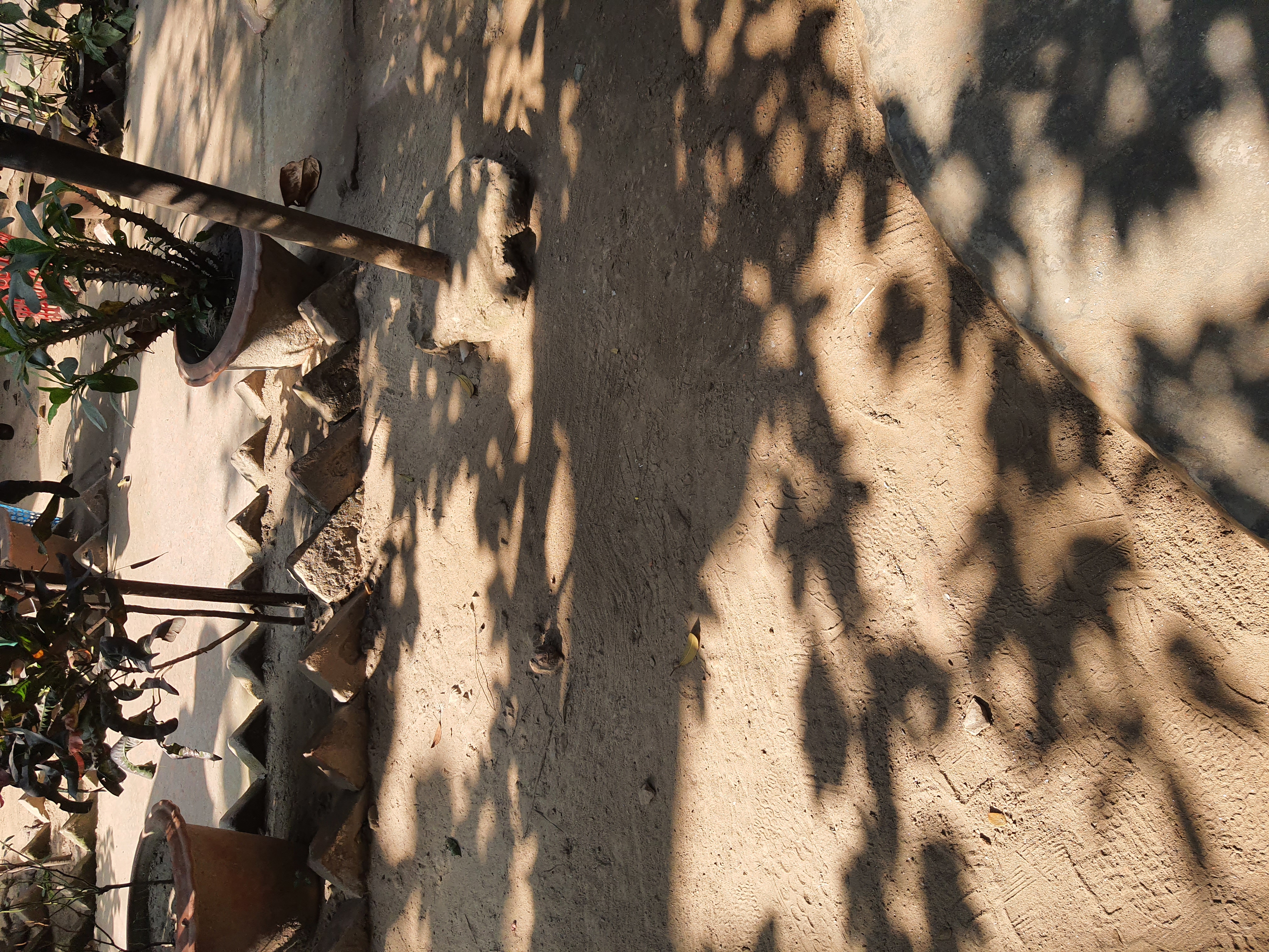 মাউশির বাকস্বাধীনতা বিরোধী আদেশটি প্রত্যাহার