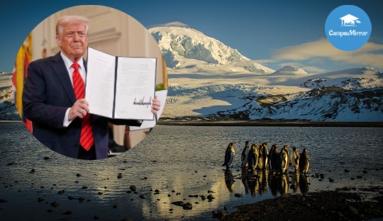 পেঙ্গুইনদের উপরও ১০ শতাংশ শুল্ক বসিয়ে দিলেন ট্রাম্প