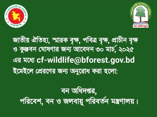 গাছের সামাজিক পদমর্যাদা ঠিক করছে সরকার, চাওয়া হচ্ছে আবেদন
