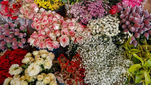 বসন্ত ভালোবাসায় ডাক পড়েছে বাহারি রঙিন ফুলের