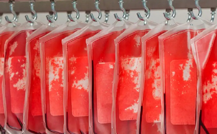 কৃত্রিম রক্ত তৈরি : ব্যবহার করা যাবে ২০৩০ সালে